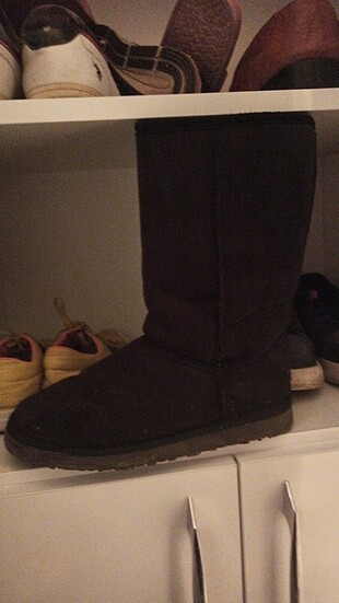 Ugg bot 