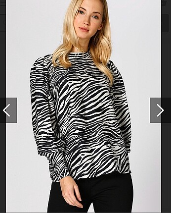 Diğer Zebra desenli bluz