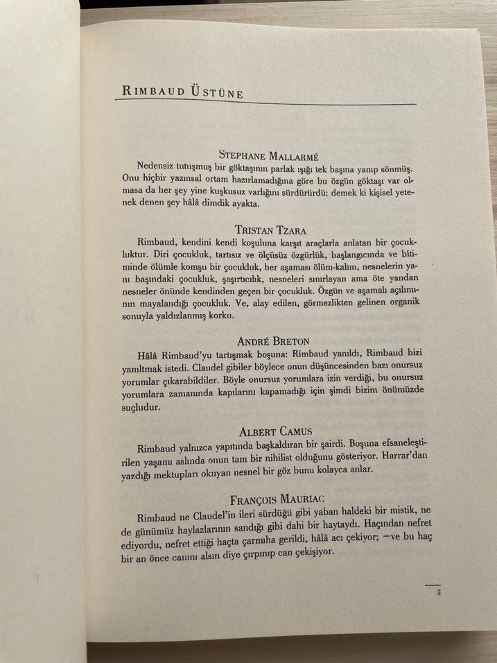 Arthur Rimbaud Bütün Şiirleri - Varlık - Görsel 2