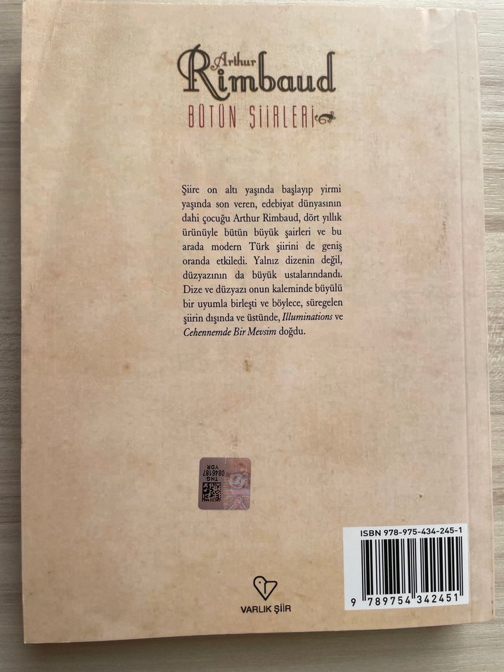 Arthur Rimbaud Bütün Şiirleri - Varlık - Görsel 3