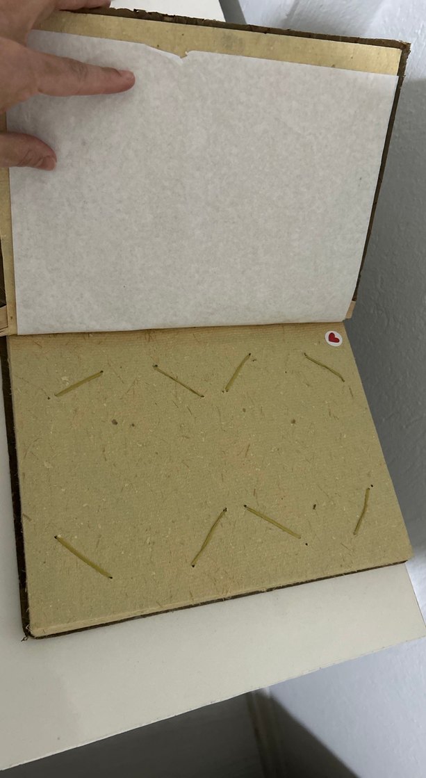 Doğal Malzemeli El Yapımı Albüm - Görsel 3