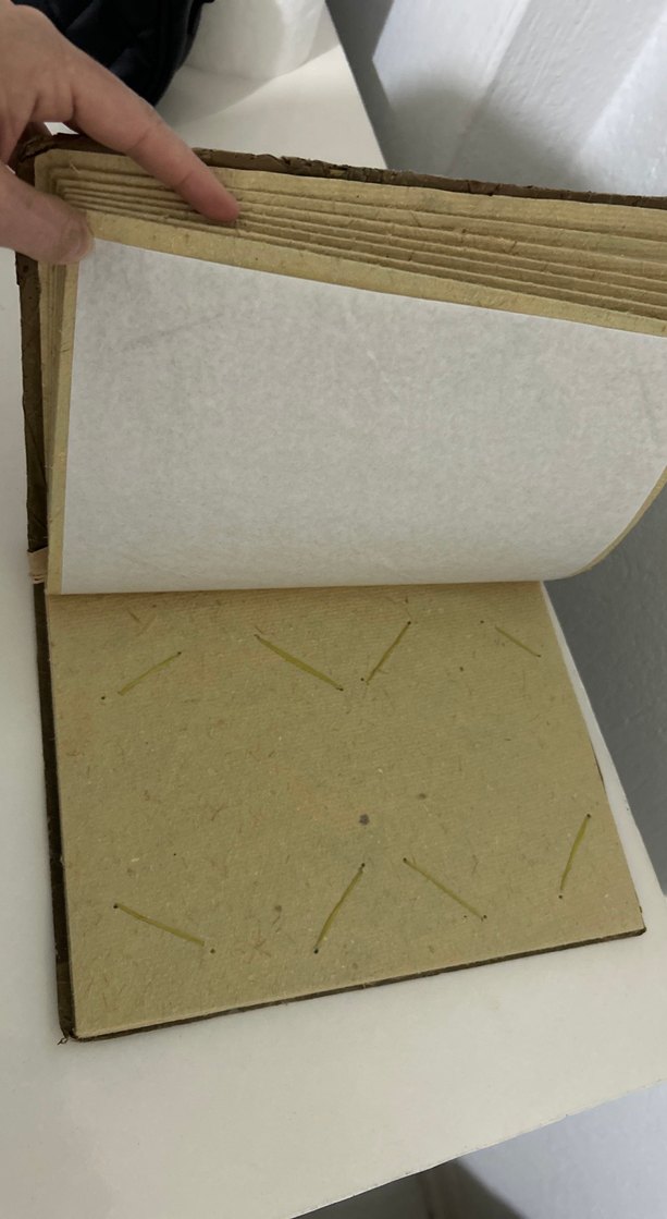 Doğal Malzemeli El Yapımı Albüm - Görsel 5