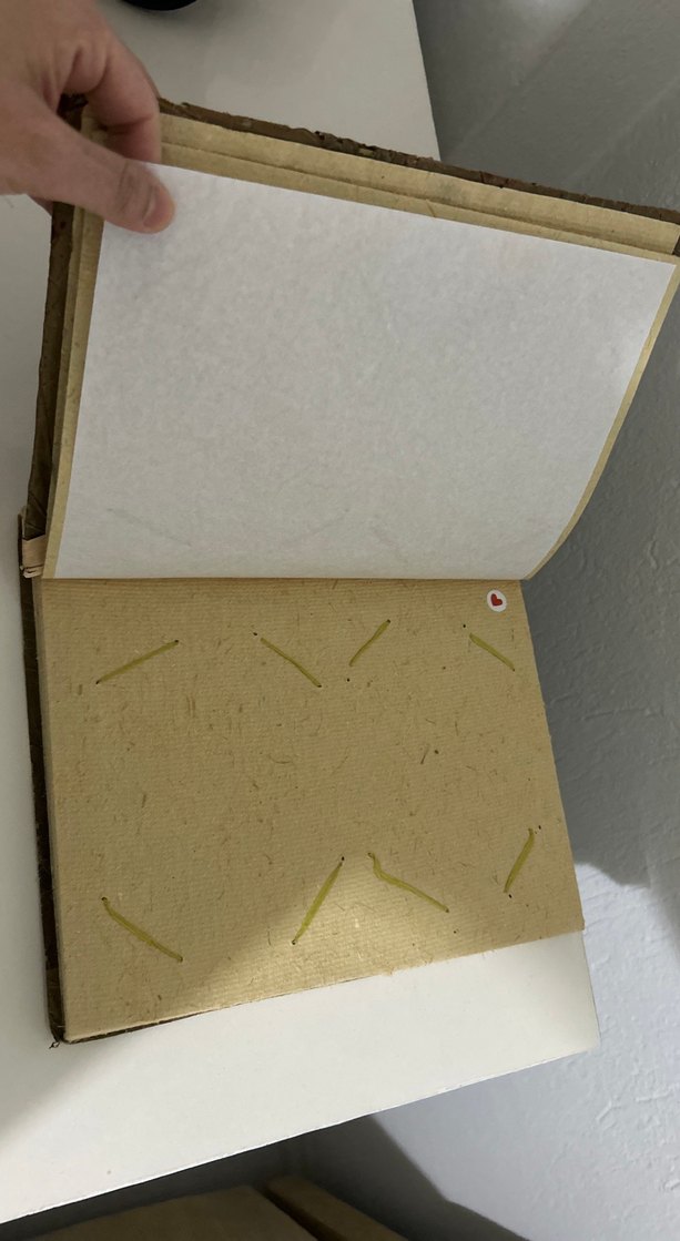 Doğal Malzemeli El Yapımı Albüm - Görsel 4