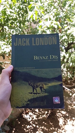 Jack London-Beyaz Diş kitap