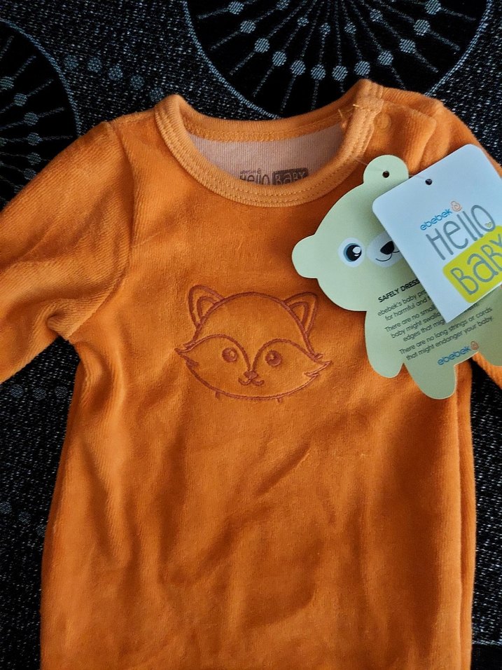 HelloBaby

Yenidoğan Unisex Patikli Tulum Kadife Nakışlı Turuncu - Görsel 5