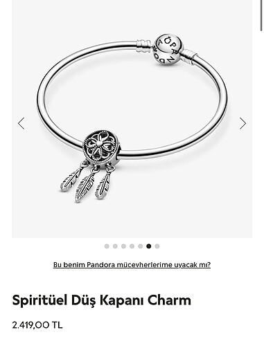 Spiritüel Düş Kapanı Pandora Charm