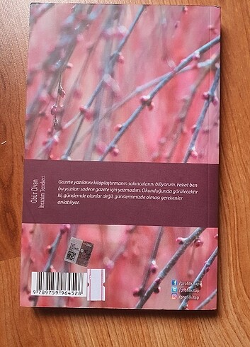 İbrahim Tenekeci öbür divan - Görsel 2