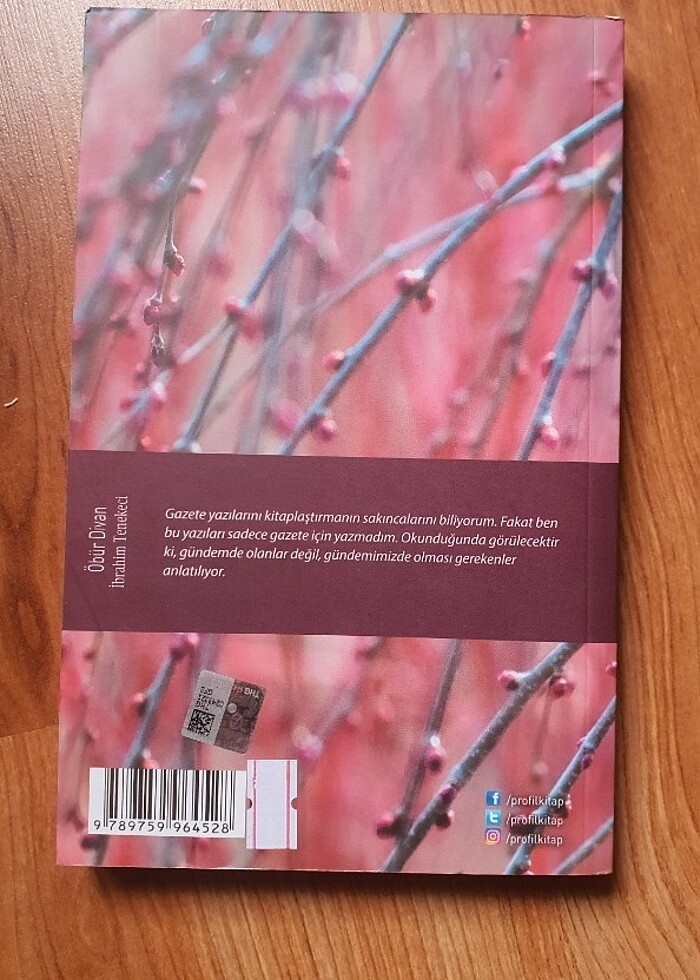 İbrahim Tenekeci öbür divan - Görsel 2