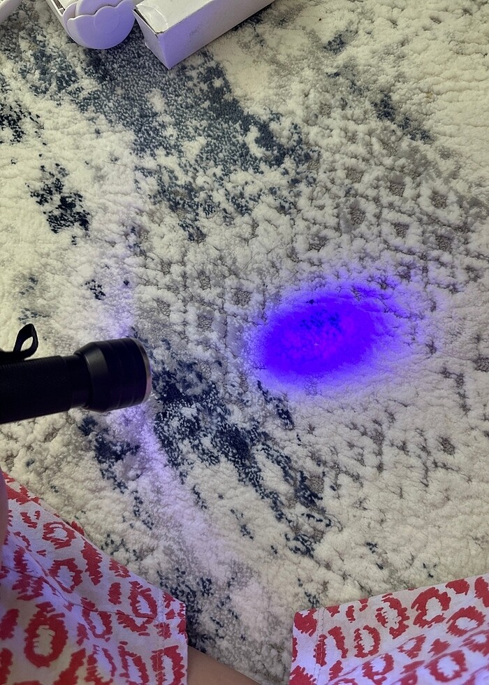 Kedi çişi görme mor ötesi fener - Görsel 3