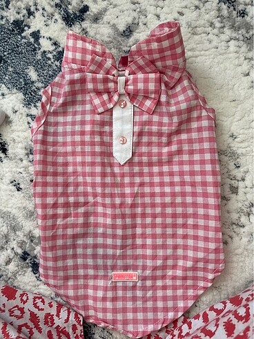 Kedi giysisi - Görsel 3