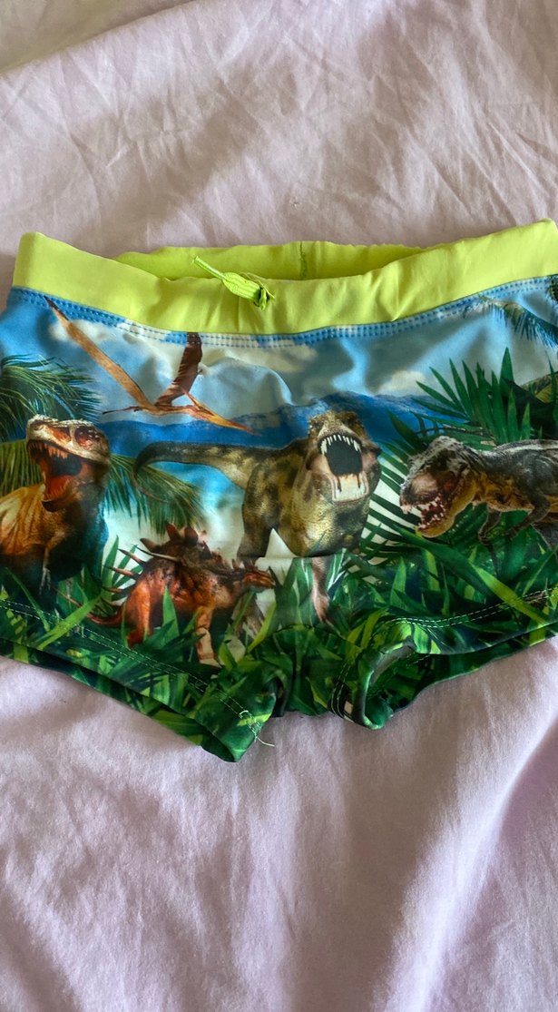 Erkek Çocuk Dinozor Baskılı Renkli Mayo - Görsel 2