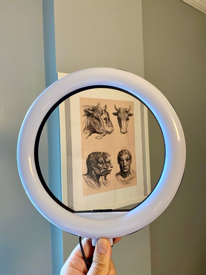 Selfie Işığı - Görsel 2