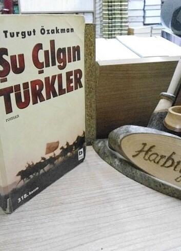ŞU ÇILGIN TÜRKLER