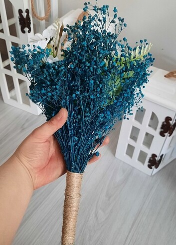  Beden Gelin çiçeği 