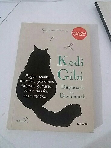 KEDİ GİBİ DÜŞÜNMEK VE DAVRANMAK