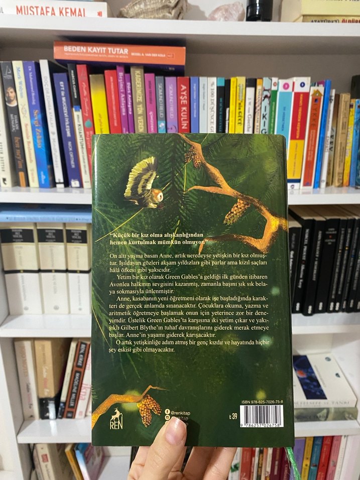 Yeşilin Kızı Anne - L. M. Montgomery - Görsel 4