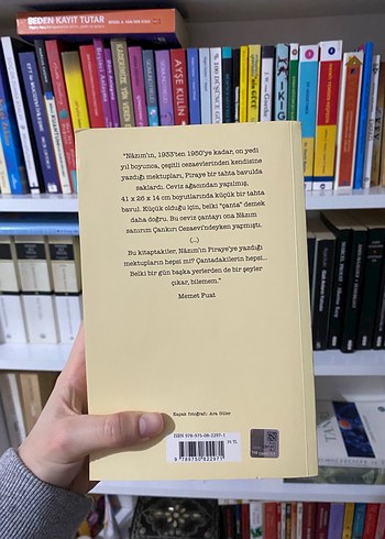 Piraye'ye Mektuplar - Nazım Hikmet - Görsel 3