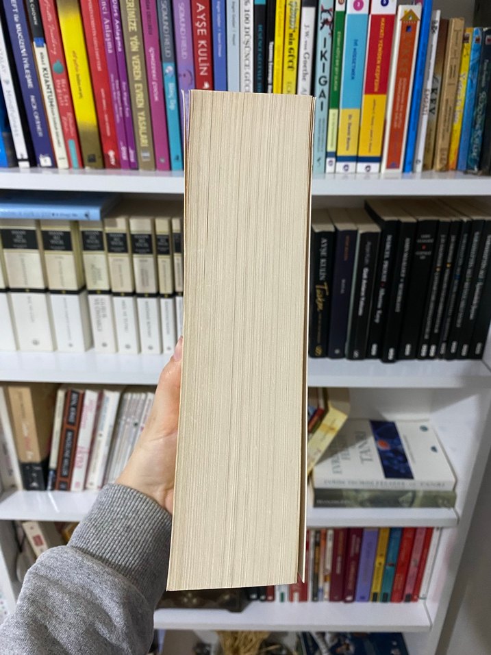 Piraye'ye Mektuplar - Nazım Hikmet - Görsel 2