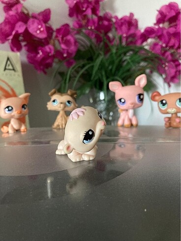 Beden Renk LPS Miniş (Hamster) #1057