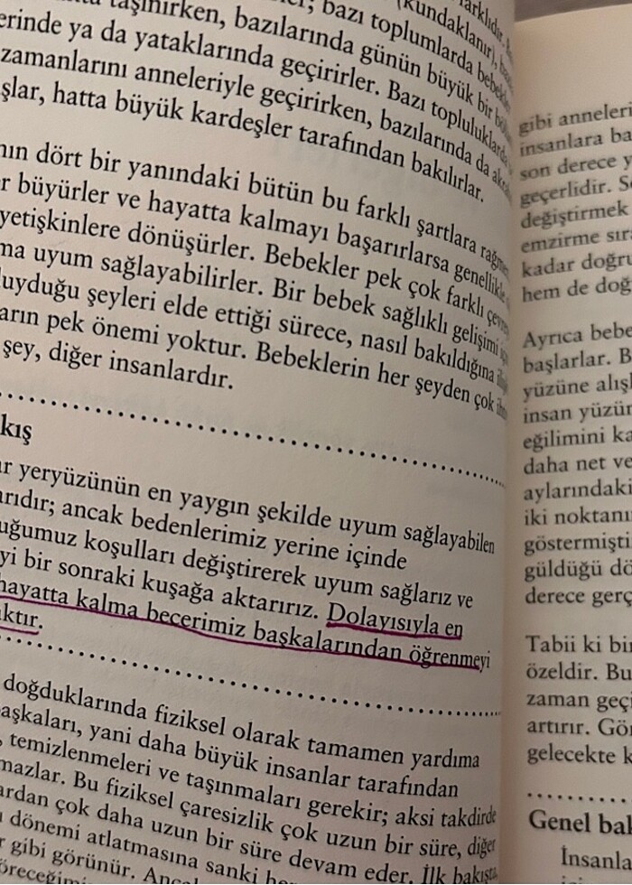 Psikolojiyi anlamak kitap - Görsel 3