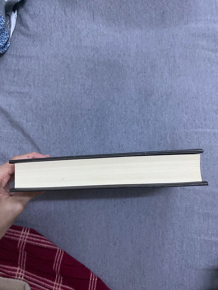 The Book of M - Peng Shepherd - Görsel 4