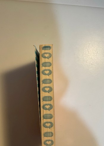 Bay Yanlış Numara - Lynn Painter - Görsel 4