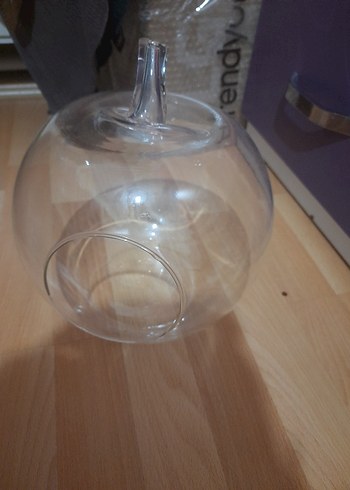 Şeffaf Küre Şeklinde Vazo - Görsel 3