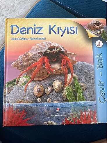 Deniz kıyısı