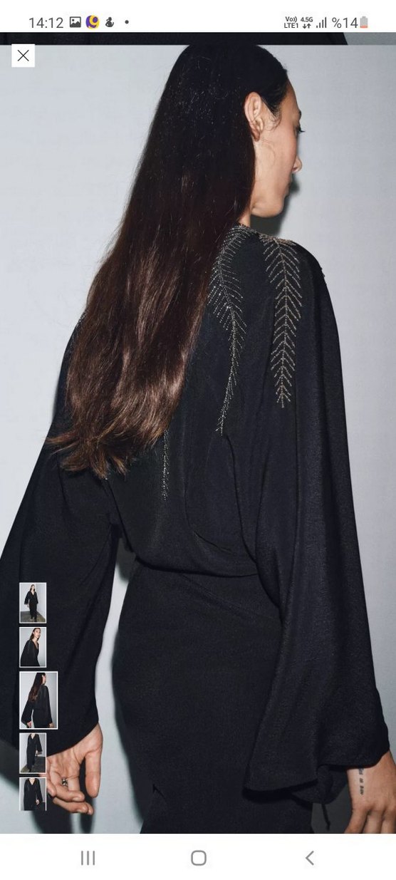 Uzun Kollu Siyah Nakışlı Kadın Elbise #zara - Görsel 3