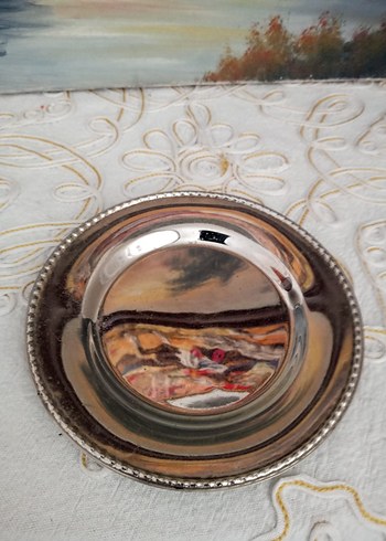 Diğer Parlak Bej Metal Tabak
