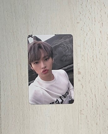 Stray kids Lee Know fotokart