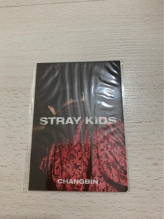 Changbin in life preorder mini photobook