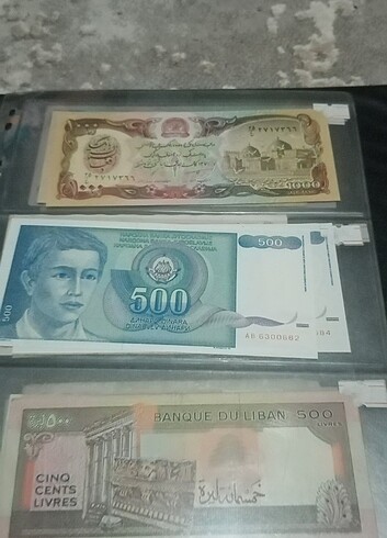 Beden Renk Para koleksiyonu