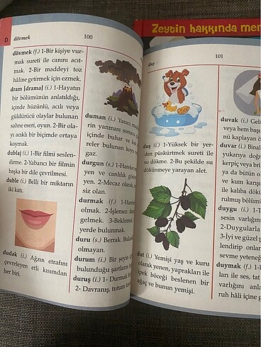 Türkçe Sözlük - Görsel 2