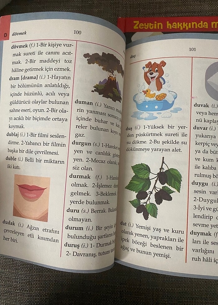 Türkçe Sözlük - Görsel 2