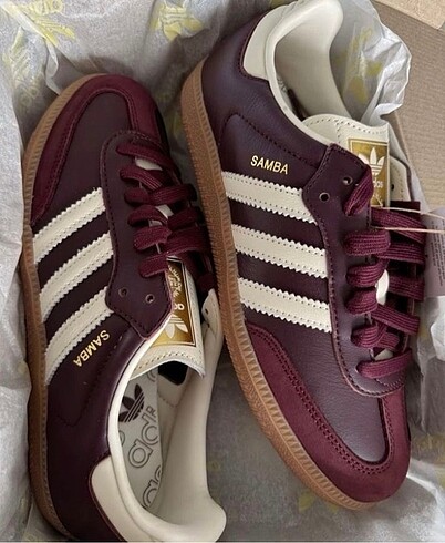 Samba bordo