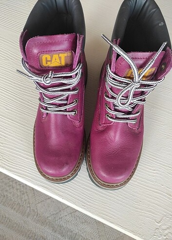 Cat pembe bot