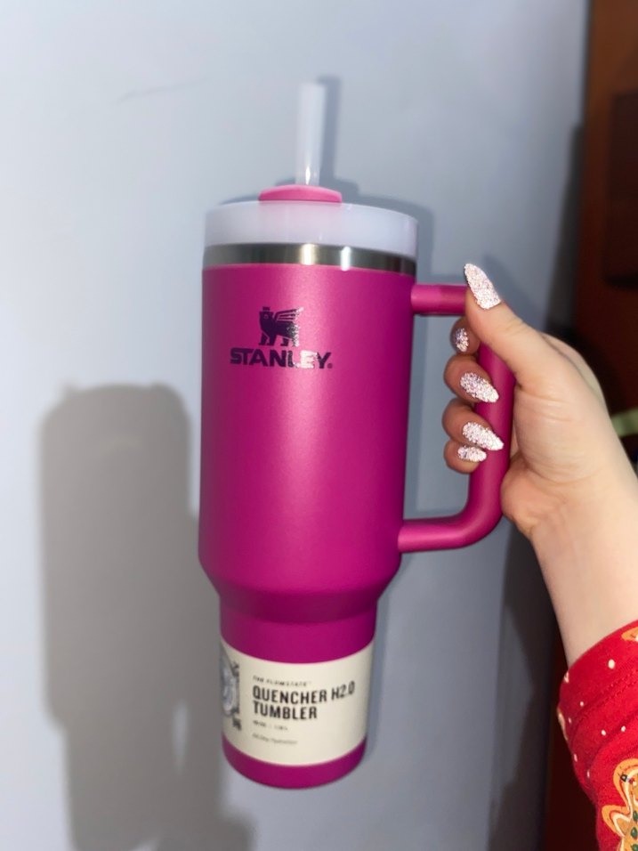 Stanley Pembe Termoslu Bardak - Görsel 3