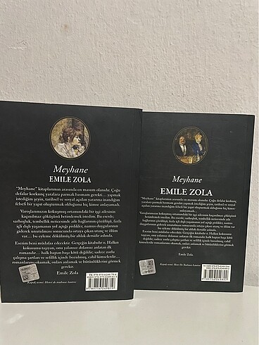  Klasik Romanlar / Emile Zola - Meyhane