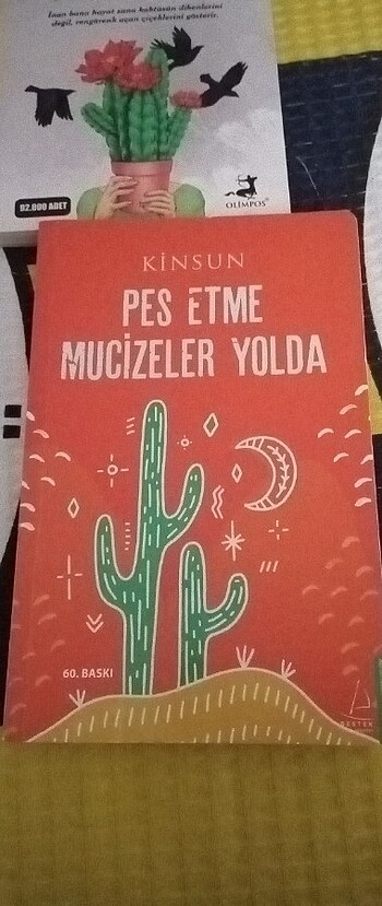 Beden Renk 3 kitap