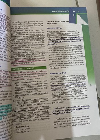  Beden Doğum ve Kadın Sağlığı Hemşireliği Kitabı