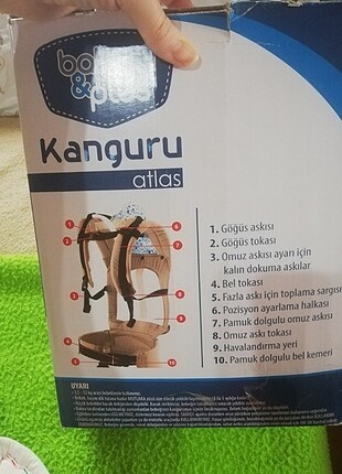 Kanguru 