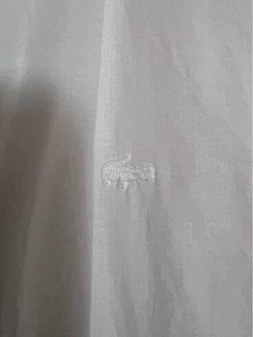s Beden Lacoste Marka Beyaz Gömlek