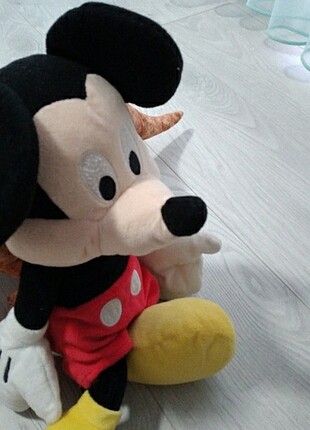 Walt Disney World Mickey mouse