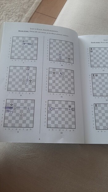  Beden Renk Satranc