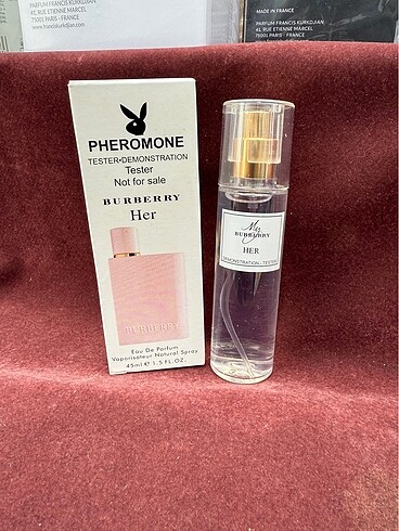 Burberry her
