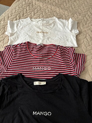 Mango tshirt toplu