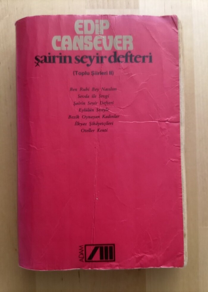 Edip Cansever -
şairin seyir defteri
(toplu şiirleri 2) - Görsel 2