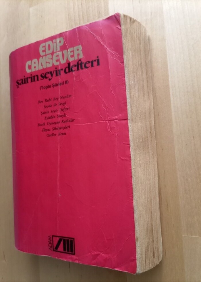 Edip Cansever -
şairin seyir defteri
(toplu şiirleri 2) - Görsel 3