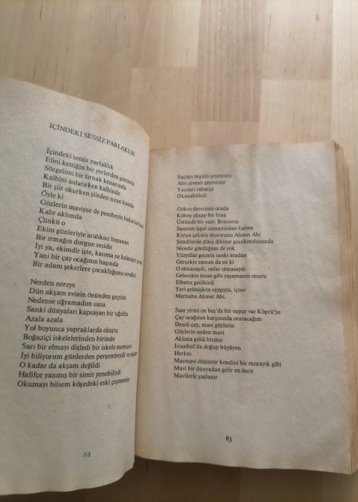 Edip Cansever -
şairin seyir defteri
(toplu şiirleri 2) - Görsel 5